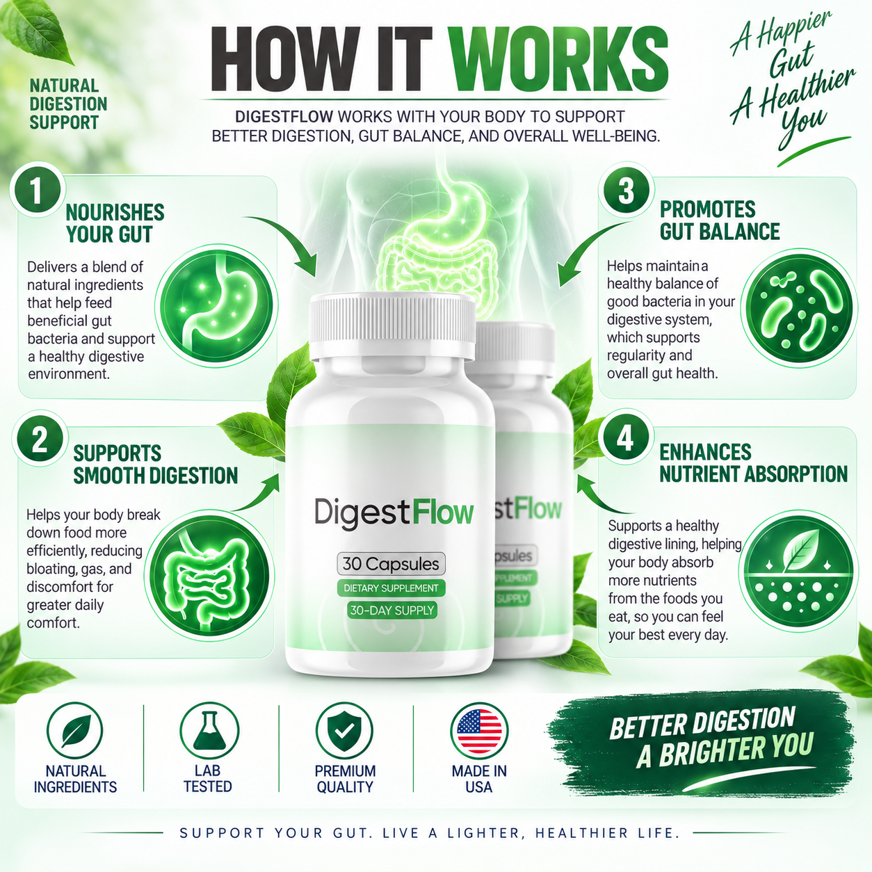 How DigestFlow works — nourishes your gut, supports smooth digestion, promotes gut balance, enhances nutrient absorption