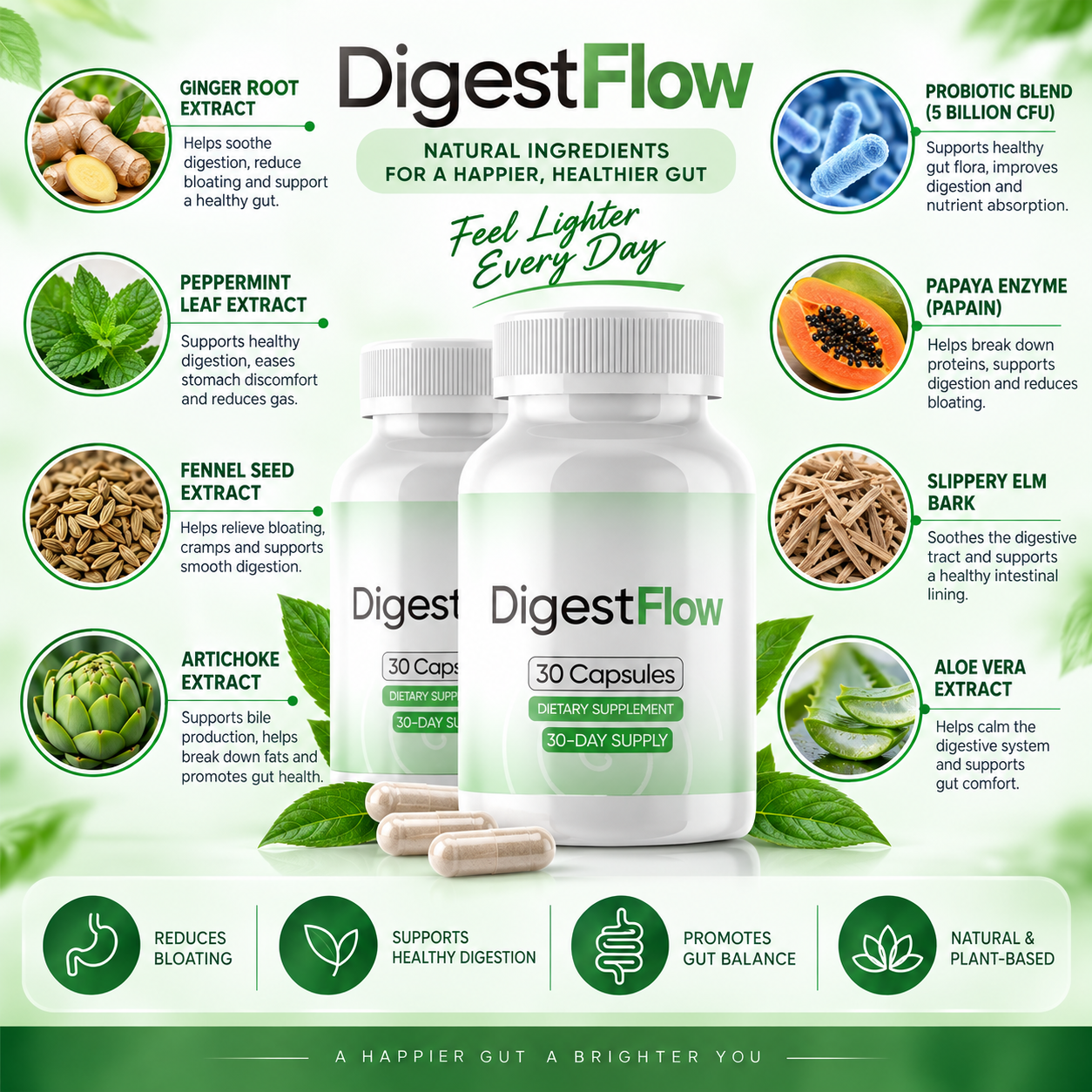DigestFlow ingredients — Ginger Root, Peppermint, Fennel Seed, Artichoke, Probiotic Blend, Papaya Enzyme, Slippery Elm Bark, Aloe Vera